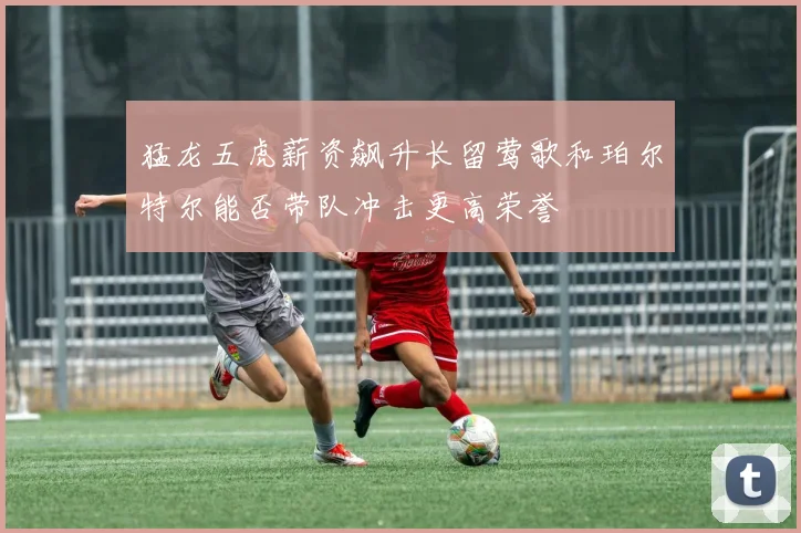 猛龙五虎薪资飙升长留莺歌和珀尔特尔能否带队冲击更高荣誉